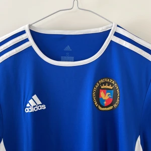 Procivitas Adidas träningströja - Blå träningströja från ProCivitas av märket Adidas. Storlek S herr men passar nog M också. Känns rätt stor. Använd en gång