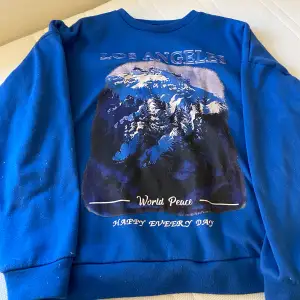 Blå sweatshirt från shein  Använd fåtal gånger Nypris 249kr Stor i storleken 