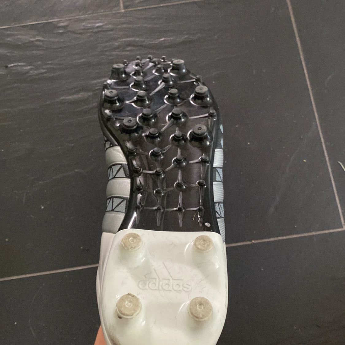 Sällsynta aridas predator 15.3 - 91