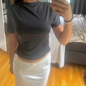 T shirt topp/festtopp - Super fin fest topp, kan även användas som vanlig topp. Från zara storlek M men passar även S. Jätte fint skick