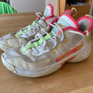 Jordans take 2 summer - Basketskor storlek 41. Skick ganska dåligt. Ingen box med. Skriv till mig om ni undrar något eller om ni vill ha fler bilder.