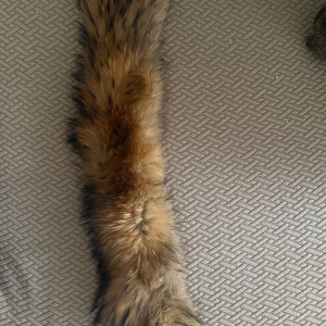 Äkta päls - Hej, säljer min jackas äkta päls eftersom jackan har blivit för liten på mig o jag behöver inte pälsen längre.Priset kan diskuteras:)