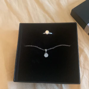 Smyckes set  - Innehåller en låda med örhänge och matchande halsband