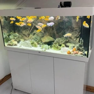 Akvarium  - Akvarium Modell Juwel Rio 240l 1 fluval 307  1 st doppvärmare 1 original Juwel Rio filter  helt nya lysrör(LED), fräscha filterar. Man får fiskarna gratis på köpet, samt priset kan diskuteras vid snabb köp! 