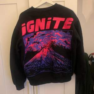 Sweatshirt använd ett par gånger, bra skick, jävligt snygg sweatshirt