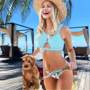 Bikini - bikinisen som jag beställde från USA och betalade avgifter på 300kr till posten,men det var för liten för mig efter graviditet!  Nu säljer jag den till nån smalare  tjej 😊 Kan skickas mot frakt. Alla lappar är kvar.  Djur/ rökfri hem.