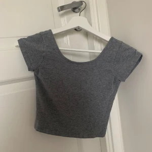 Grå topp - Säljer denna gråa t-shirt från Bikbok som är djup i ryggen. Bra skick 😊