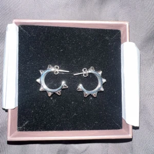 Edblad örhängen  - Säljer dessa super fina edblad örhängen i silver, helt oandvända och säljs pågrund av att de inte passar mig. 