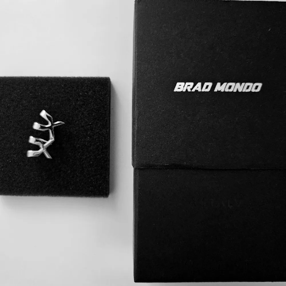 VITALY DESIGN x Brad Mondo örhänge i rostfritt stål, silverfärg, använt en gång.  Behöver inte ha hål i öronen. Ny den säljs för 660 kr, jag säljer för 250 kr.  Kan be om fler bilder.. Accessoarer.