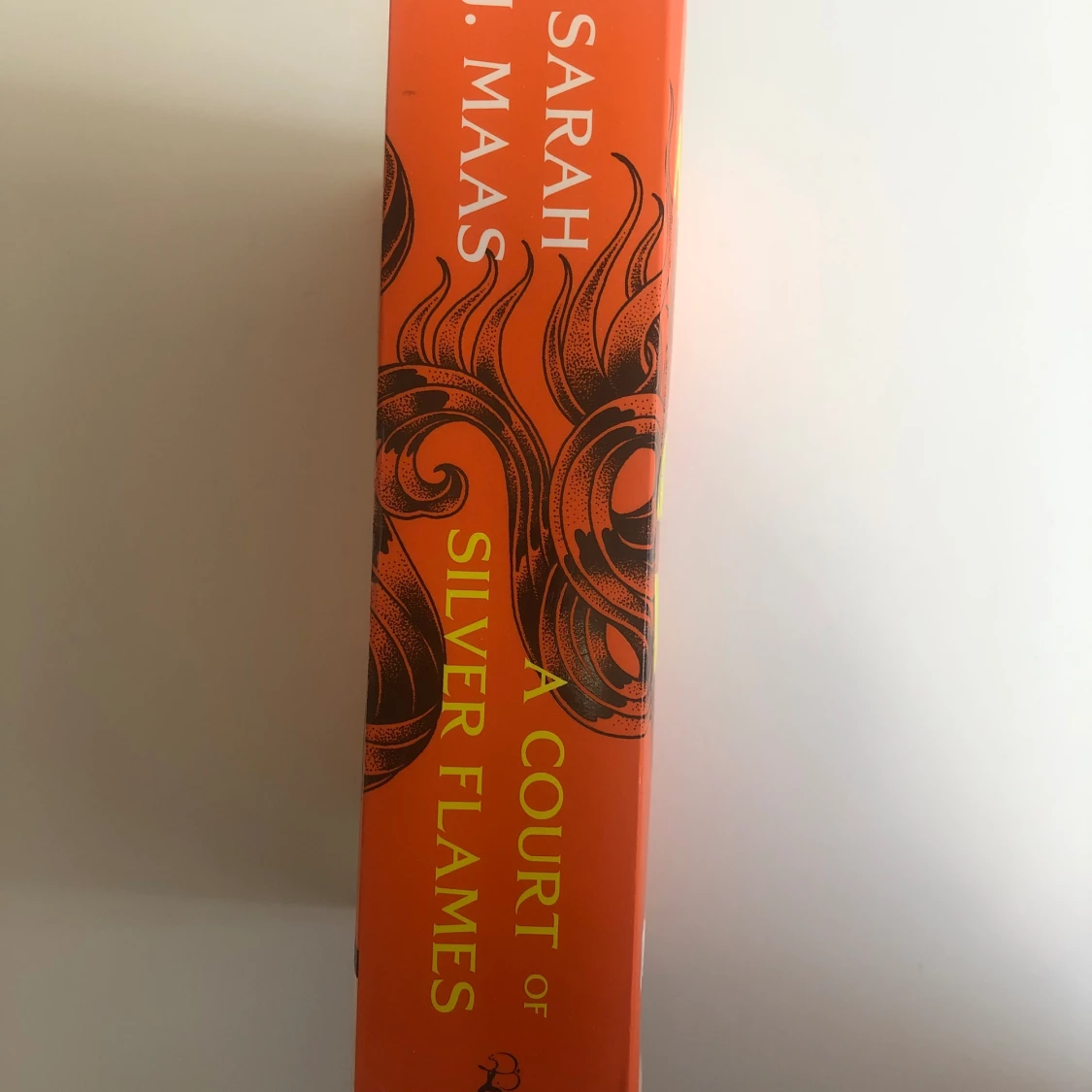 A court of silver and flames  - 92