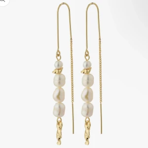 Örhängen  - Säljer dessa supersöta örhängena från Pilgrimer😍De är endast använda två gånger så nyskick och såklart rengjorda💞Nypris är 440 på deras hemsida