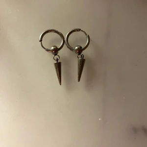 Spikörhängen - Super snygga spikörhängen. Använda ett fåtal gånger men rengörs innan köp. Priset är + frakt på 15kr. Tryck inte på köp nu utan kontakta mig vid intresse!💞