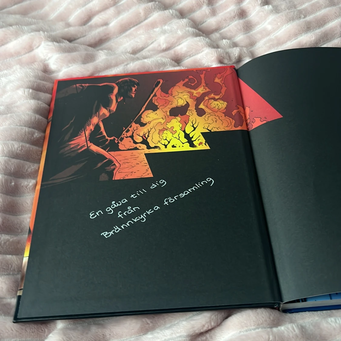 Hjälstarnas seriebibel - 91