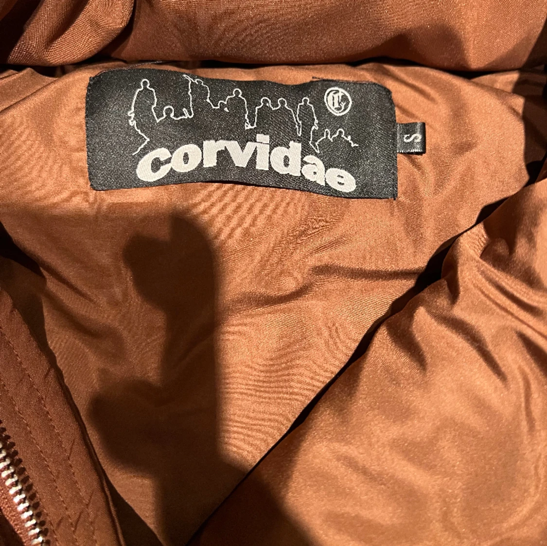 Corvidae jacka brun - 91