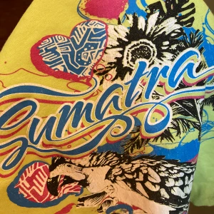 y2k baby tee - för barn men passar bra på s/xs då den är u ringad o blir normal på ett icke barn. sportig.”sumatra” tryck