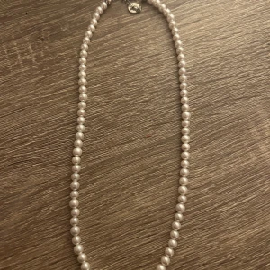 Pärlhalsband Edblad - Jättefint pärlhalsband från Edblad aldrig använt