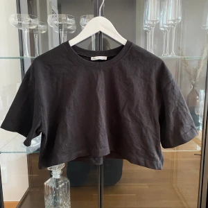 croppad tshirt - Croppad tshirt från Zara, nypris 200kr. 