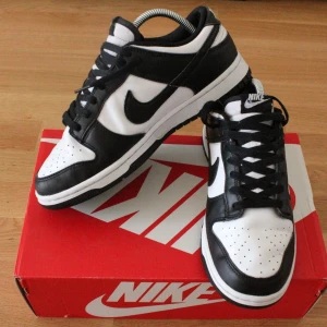 Nike Dunk Low Retro  - Riktigt fint skick. Endast småslitage i innerhälen. 