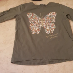 Den är fin med en fjäril med blommor i - Det är en fjäril som har blommor i sig Den är grön som bakgrund var själva tröjan Det är många olika färger på tröjan