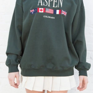 Brandy Melville tröja - Säljer min superfina brandy melville tröja! Nypris 500!!!Aldrig använd men köpt för något år sedan, så går ej att köpa i butik längre!!💕💕 Den är ”onesize”, men sitter ganska oversized och är ca. Storlek L💕💕
