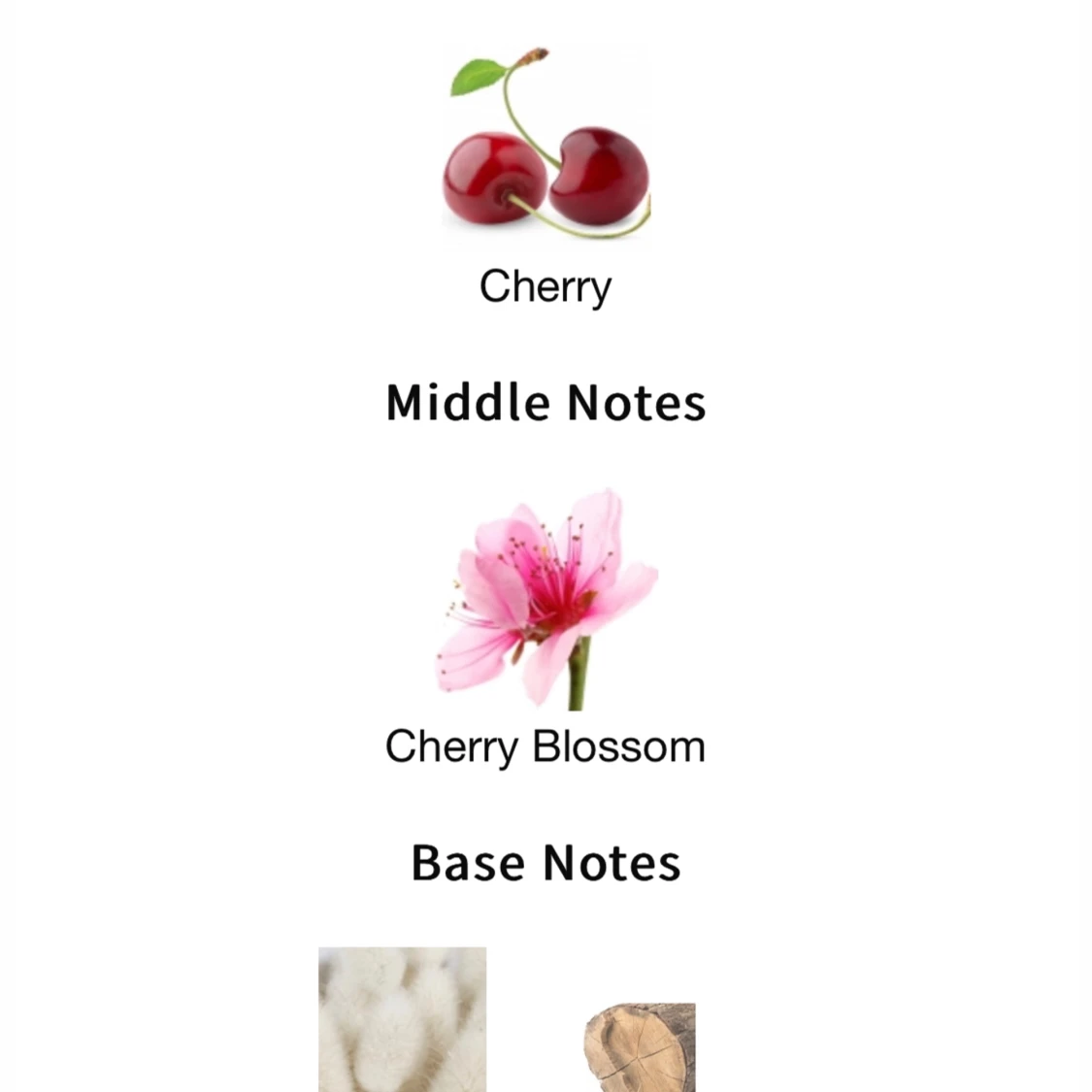 Monotheme - Cherry Blossom - 90