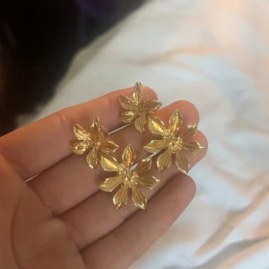 Guld örhängen - Använda en gång, ny köpta!
