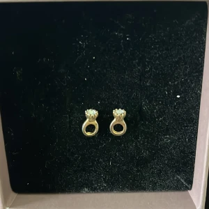 örhängen - små fina örhängen formade som ring