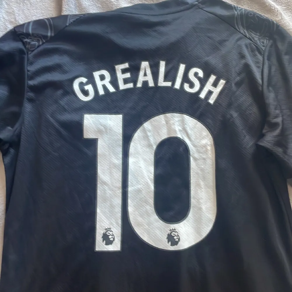 Manchester City ”Year of the dragon” fans edition fotbollströja. Jack grealish, 10 på baksidan Säljs då den inte används, köpt ca 2 månader sen. Storlek: L Pris: 450kr (men går att diskutera vid snabbaffär🤗). T-shirts.
