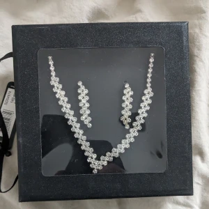 Silver halsband och örhängen - Helt oanvända. Ordinarie pris 149 kr