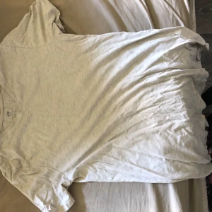 T-shirt  - Litet hål i helt vanlig grå t-shirt hålet syns ej på!