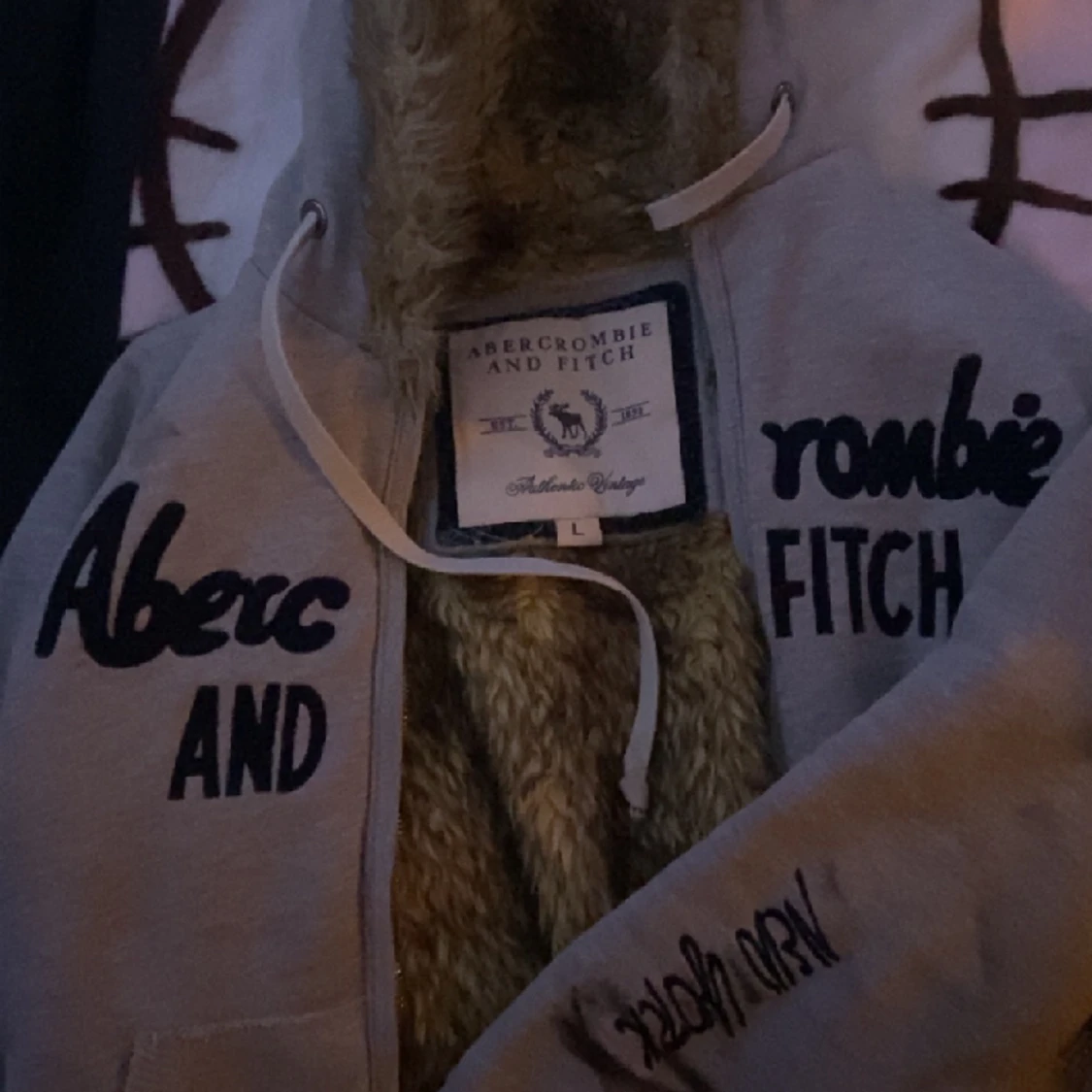 Abercrombie & Fitch hoodie