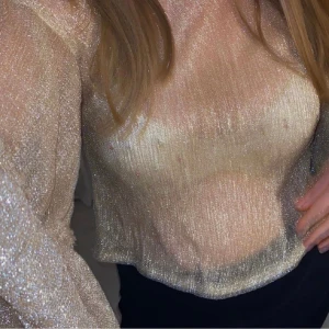Glittrig top  - Glittrig top i storlek 40. Enbart provad så i gott skick. 
