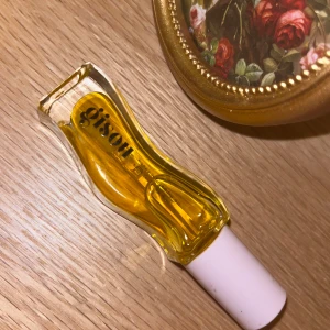 Gisou l - Gisou lip gloss 