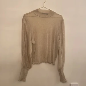 Blus  - En glittrig blus i bra skick!  Använd fåtal gånger. 
