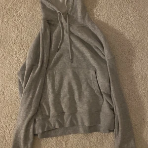 hoddie - helt vanlig grå hoodie. haft nått år! storlek 34:)