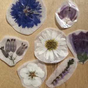 pressade blommor - klistermärken som jag gjort själv av blommor jag pressat under sommaren 🌸 välj dina favoriter för 8 kr/styck, gratis frakt vid köp av minst 5 annars kostar den 15 kr 🌼 skriv så skickar jag bilder på alla som finns just nu!