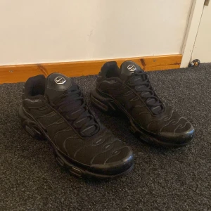 Airmax plus - Använda storlek 45