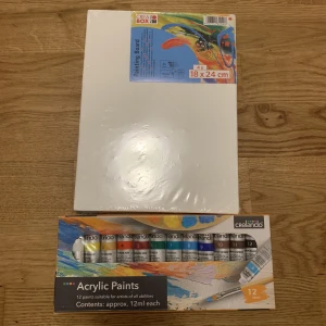 Akrylfärg och canvas tavlor  - 12 pack akrylfärg med 12 ml i varje och 4 pack canvas tavlor att måla på med mått 18 X 24 cm
