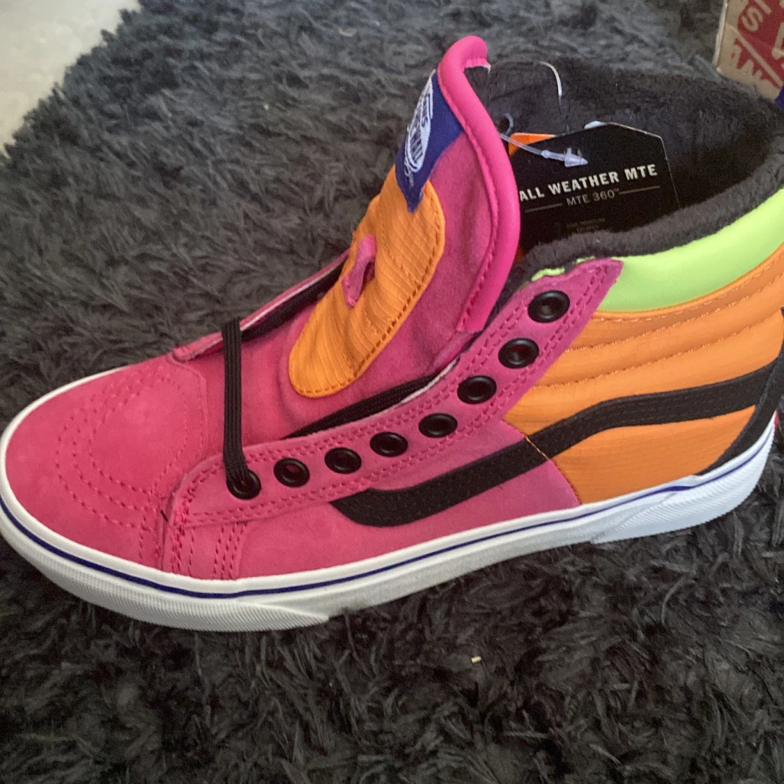Vans Skor MTE DX