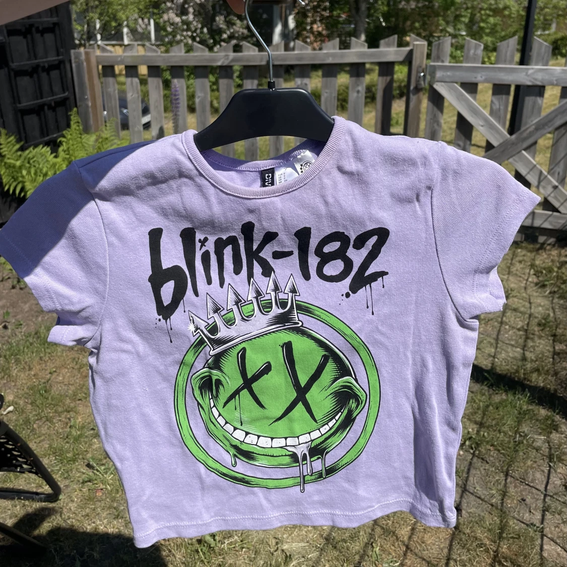 Blink-182 T-Shirt 