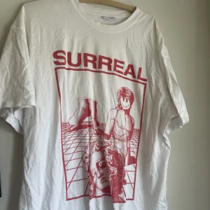 Oversized t-shirt - Streetstyle tröja, oversized med tryck. Pris kan diskuteras 