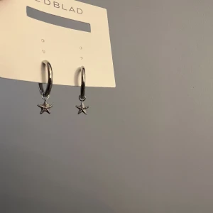 Edblad örhängen - Säljer dessa örhängen från eblad, aldrig andvända💞buda eller köp direkt för 200kr