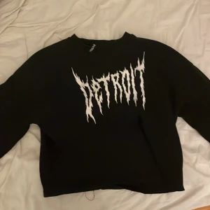 långärmad alternativ tröja - köpt ifrån hm, använd  flertal gånger men inga tydliga defekter! inte jätte lång vid magen så blir lite av en croppad men synd inte med långmidjade byxor!
