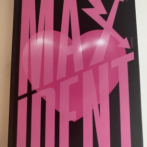 Stray kids - Stray kids maxident album (: 