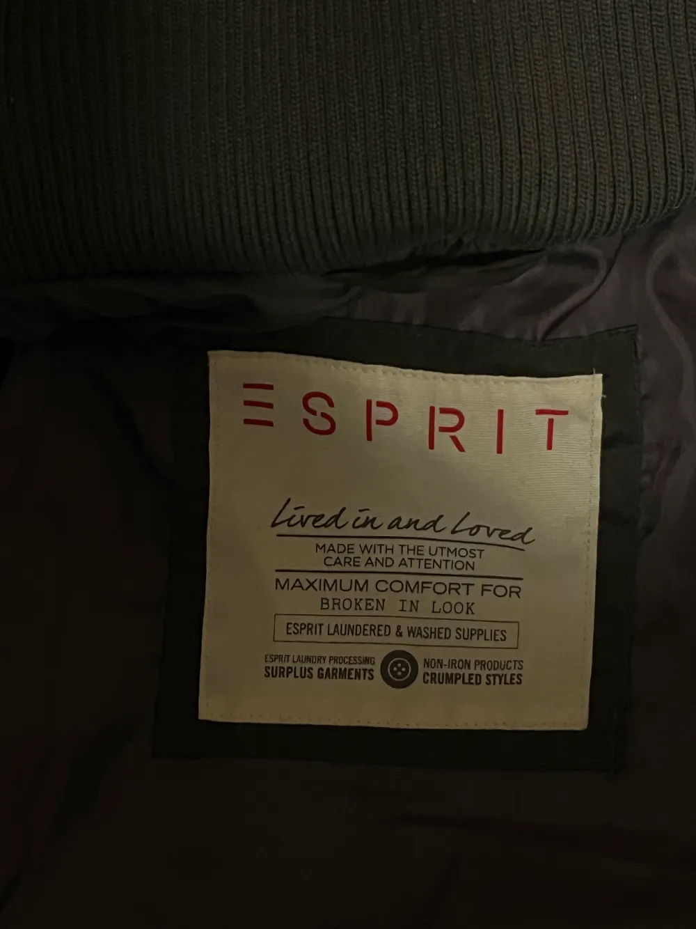 Snygg dunjacka köpt på Esprit för nått år sedan! Varm och skön. Säljes pga för liten. Aldrig använd. . Jackor.