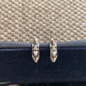 Edblad örhängen  - Säljer nu dom här örhängena från Edblad, säljer eftersom det inte längre kommer till användning, hör gärna av dig vid intresse💗💗 