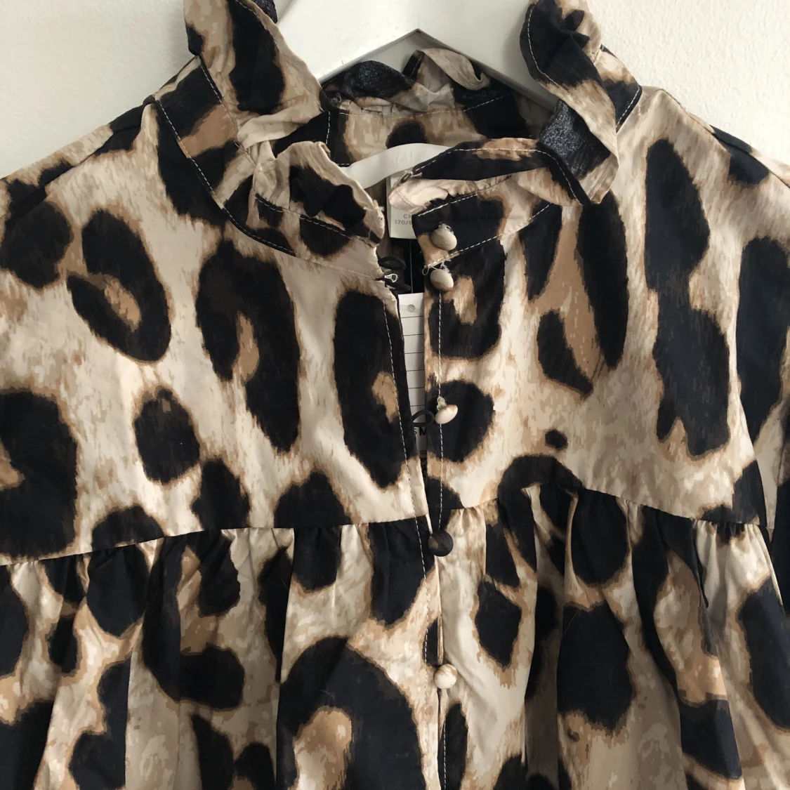 Leopard-blus - 91
