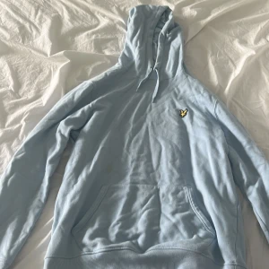 Hoodie - 8/10 skick. Använd några gånger.  Fläcken på magen ska jag tvätta bort såklart. Kontakta om priset