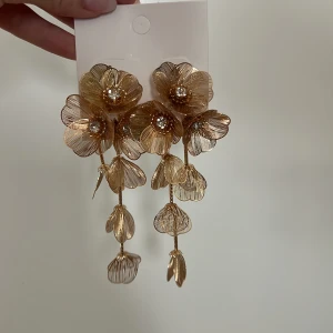 Örhängen  - Örhängen som blommor aldrig använda i guld med stenar