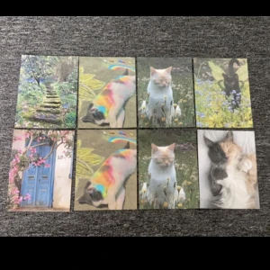 Fotovägg - djur - Rensat massa bilder som jag köpt till mina fotoväggar men som aldrig sattes upp! Lite olika kvalite, därav de olika prisen! Gratis frakt på de två första beställningarna! 💙 - 5kr/styck 🩷 - 3kr/styck